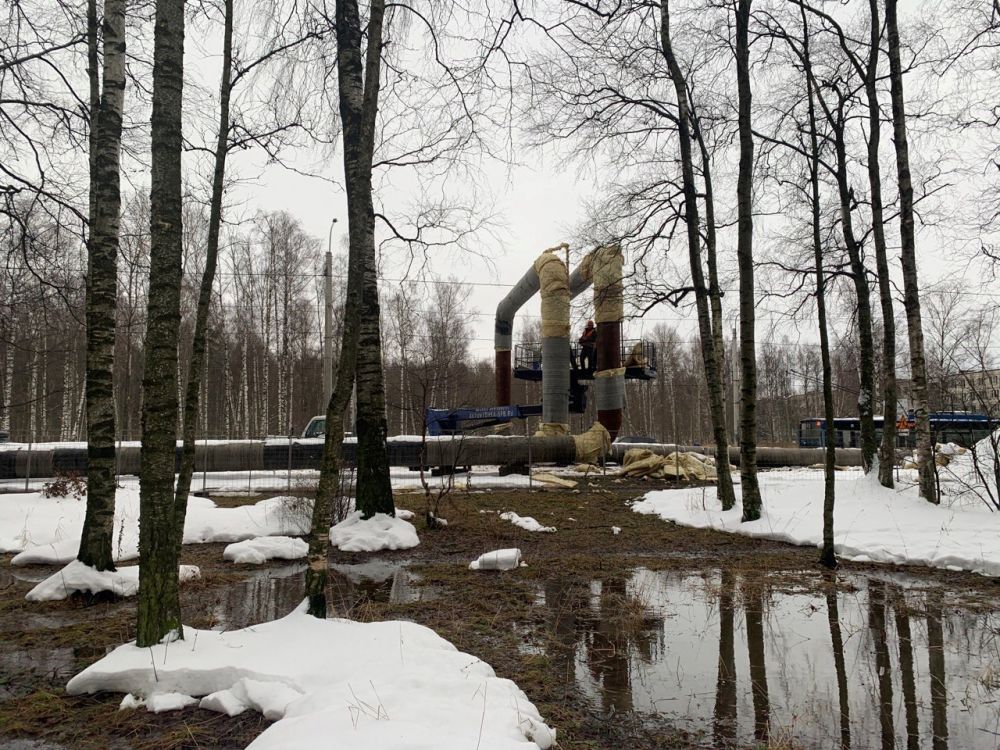 Ветеранов