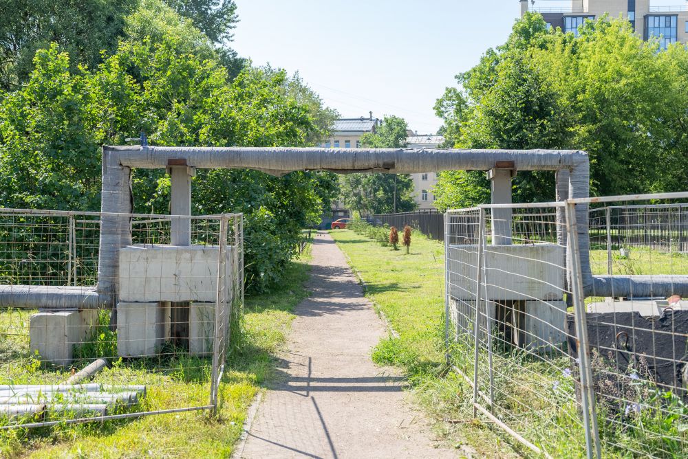 фото-тэкфрунз170725(3)